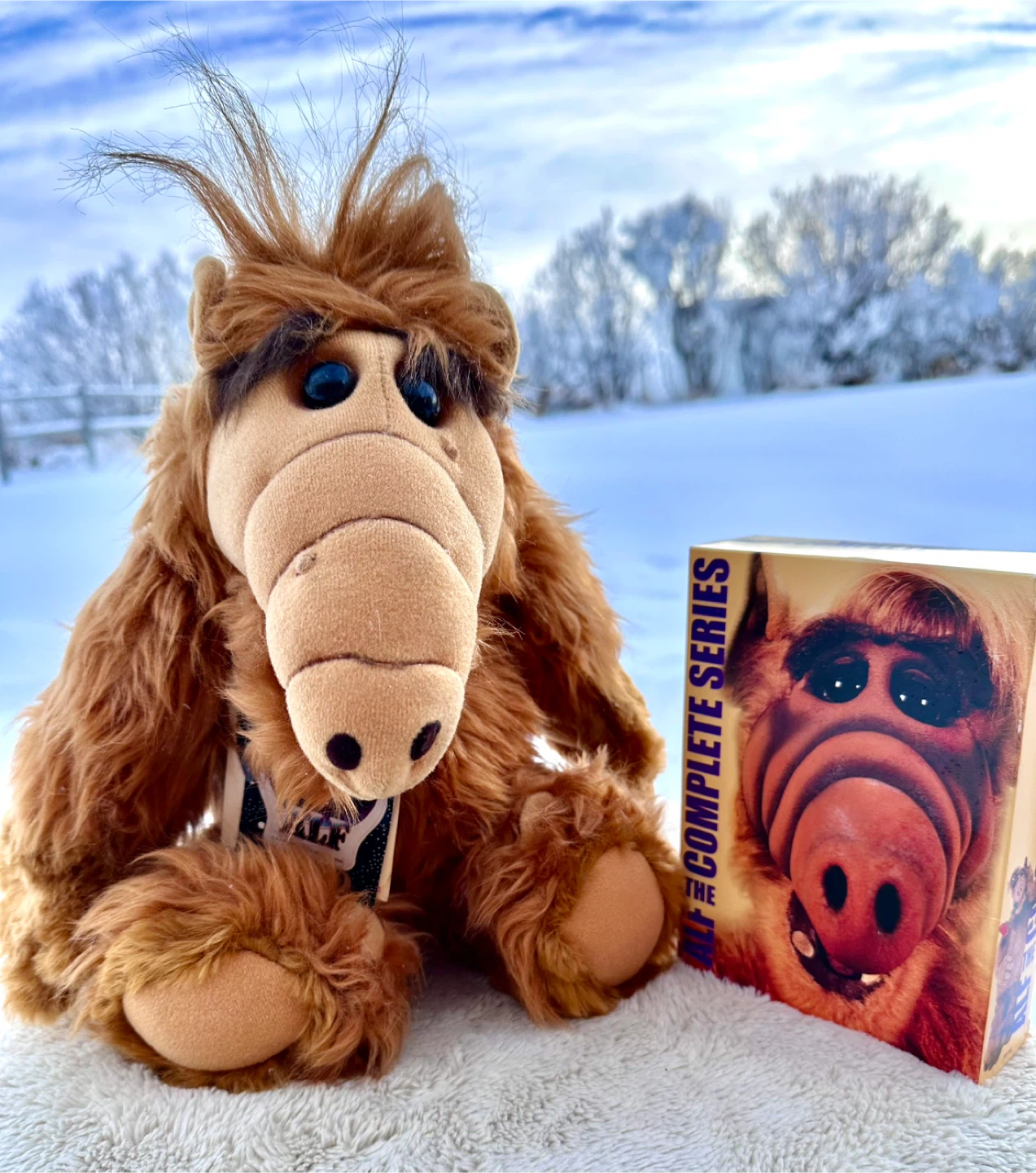 ALF Collectible Plush Toy with Complete Series DVD - photo 2
