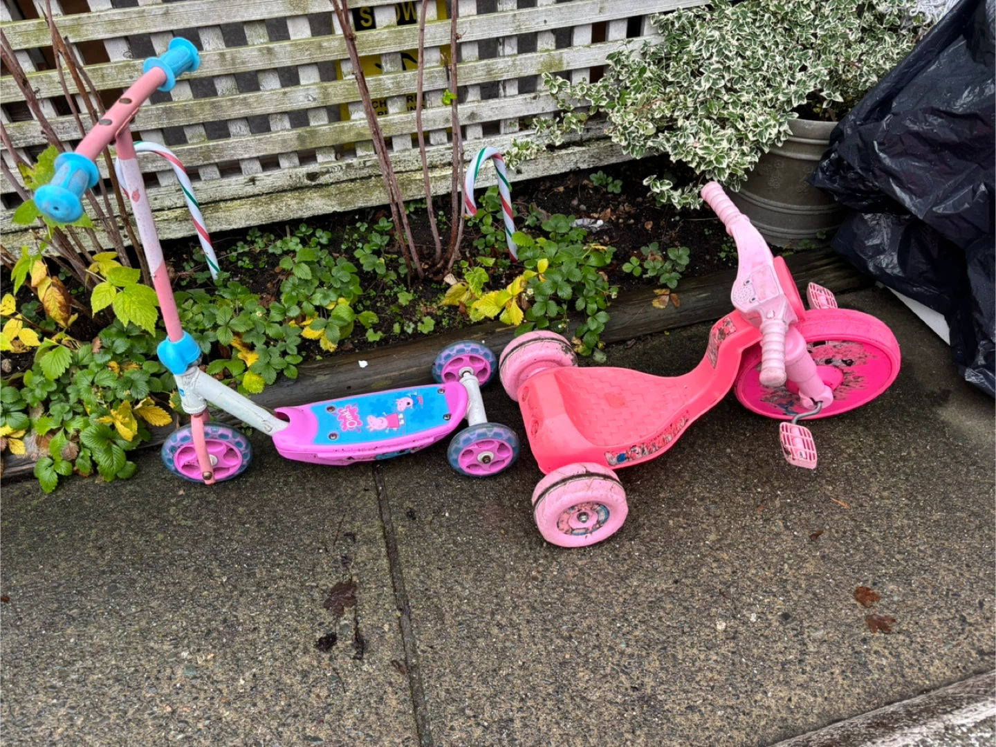 Scooter and bike for all 5 dollars