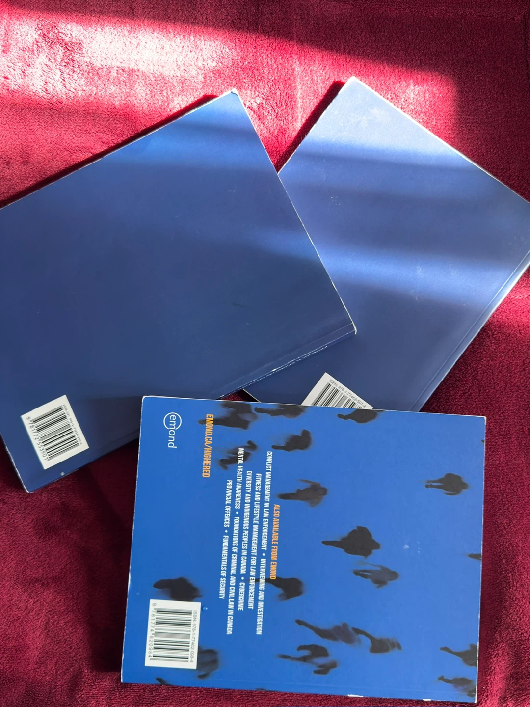 Mohawk College Law & Ethics Textbooks - photo 3