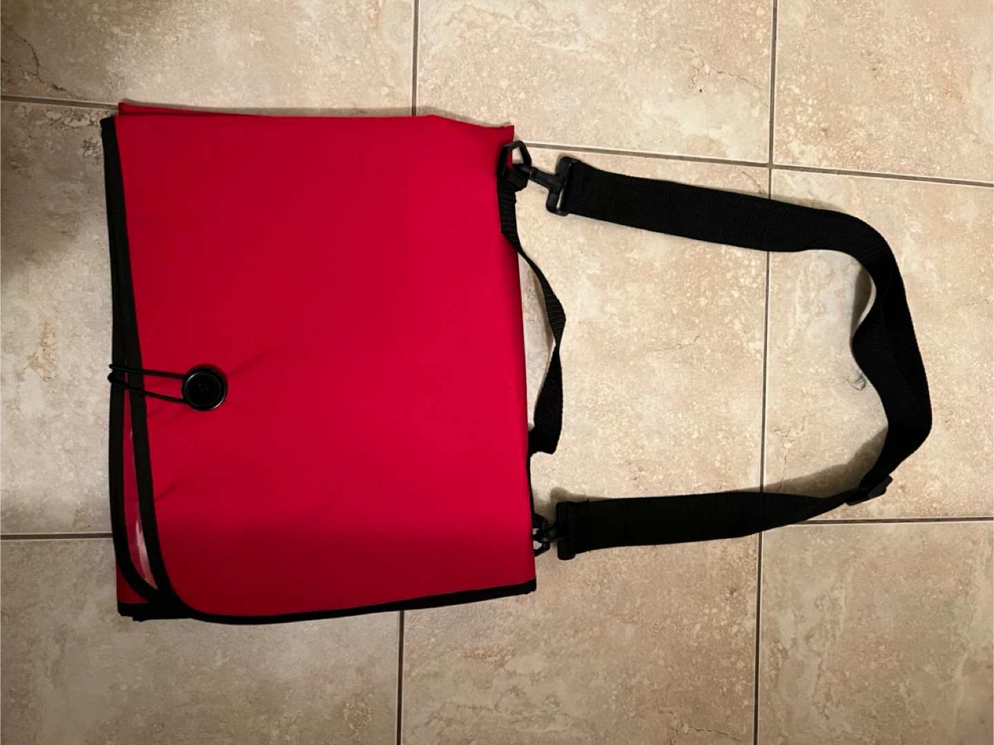 Document Organizer and Purse