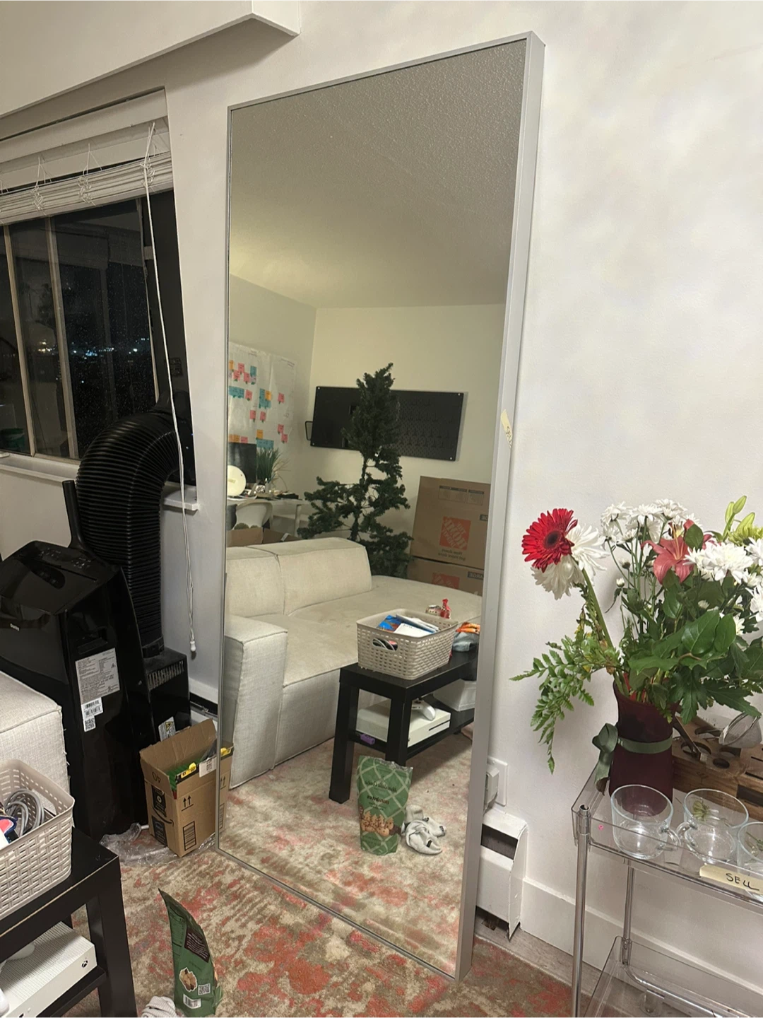 IKEA Full Length Mirror