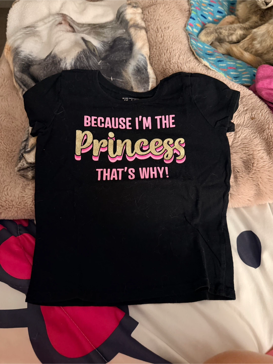 Girl's Black "Because I'm the Princess" T-Shirt Size 4T