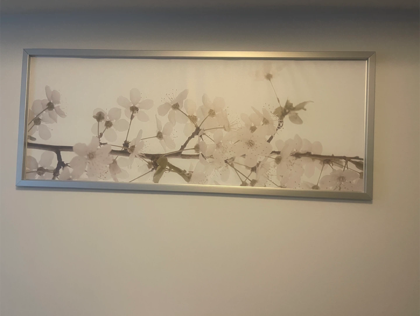 Floral Wall Art