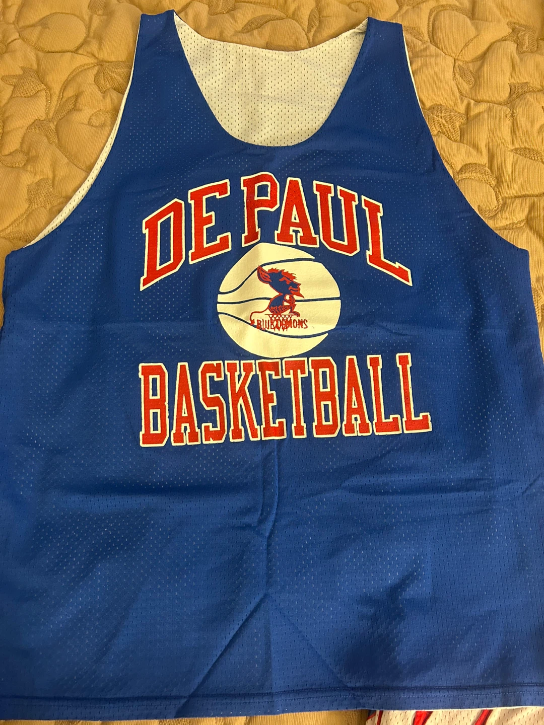 DePaul Basketball Reversible Jersey #15 - photo 2