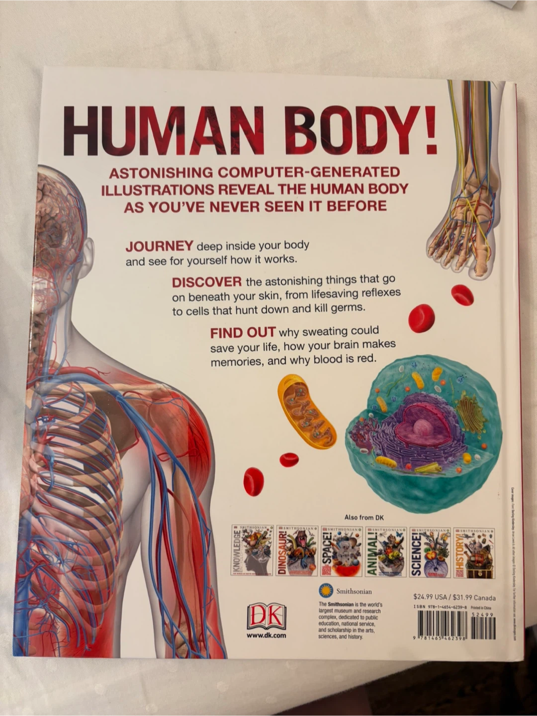 Human Body! DK Smithsonian Book - photo 2
