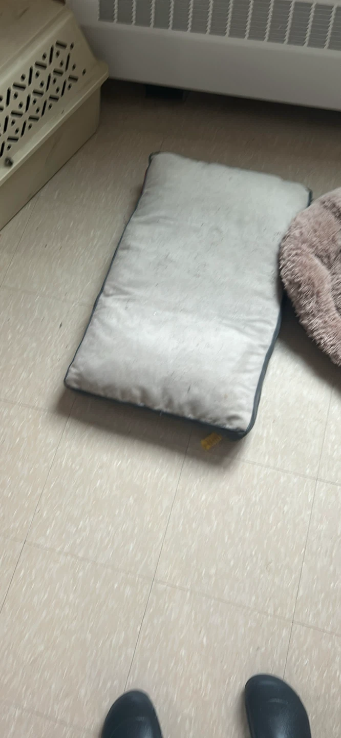 Dog Bed - Pet Pillow