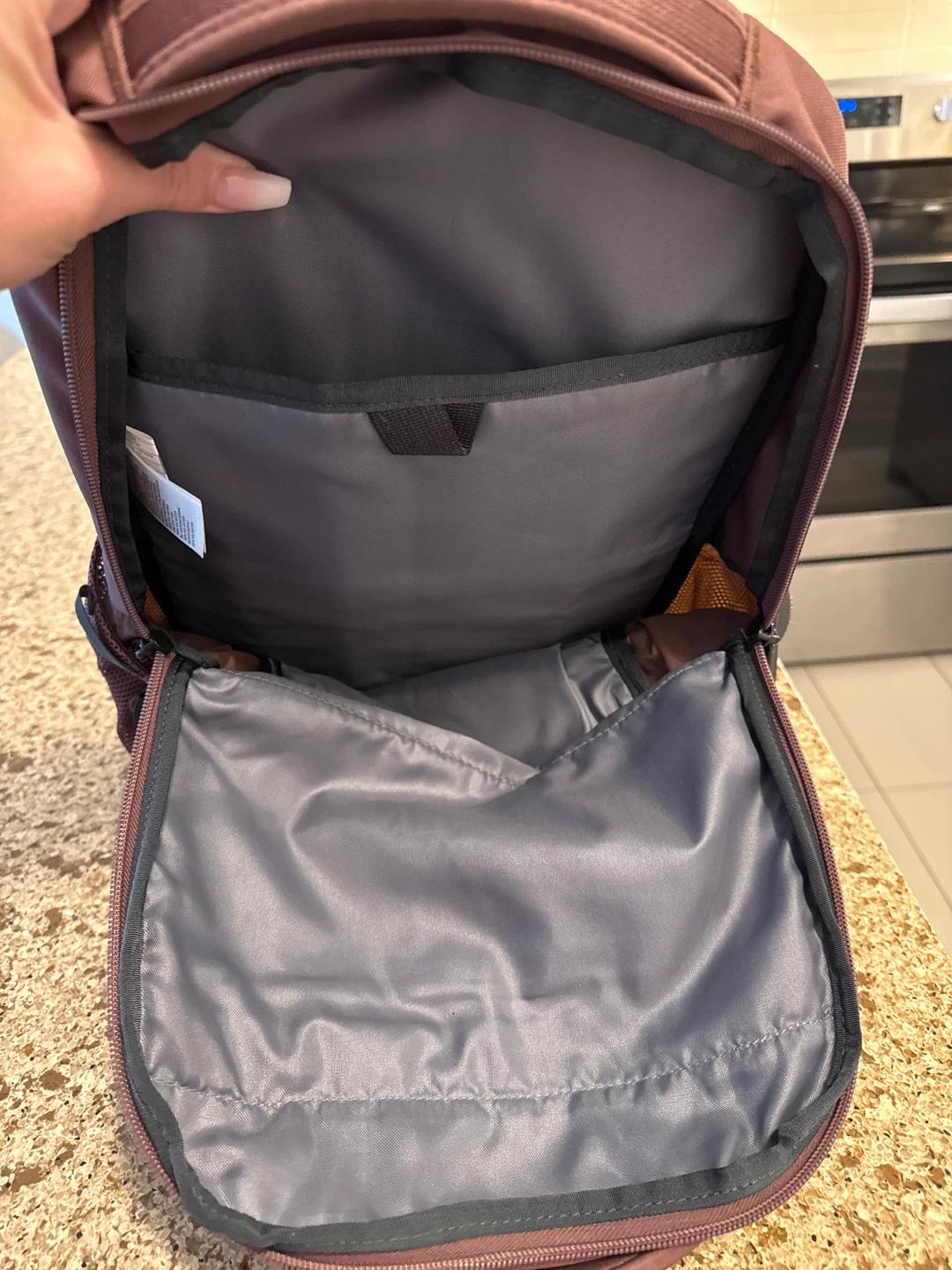 The North Face Jester Backpack - photo 2