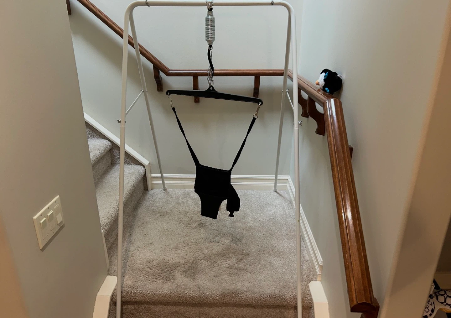 Baby Doorway Jumper