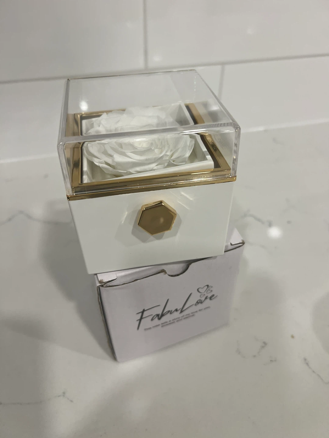 Fabulove Rose & Necklace Set - New in Box!