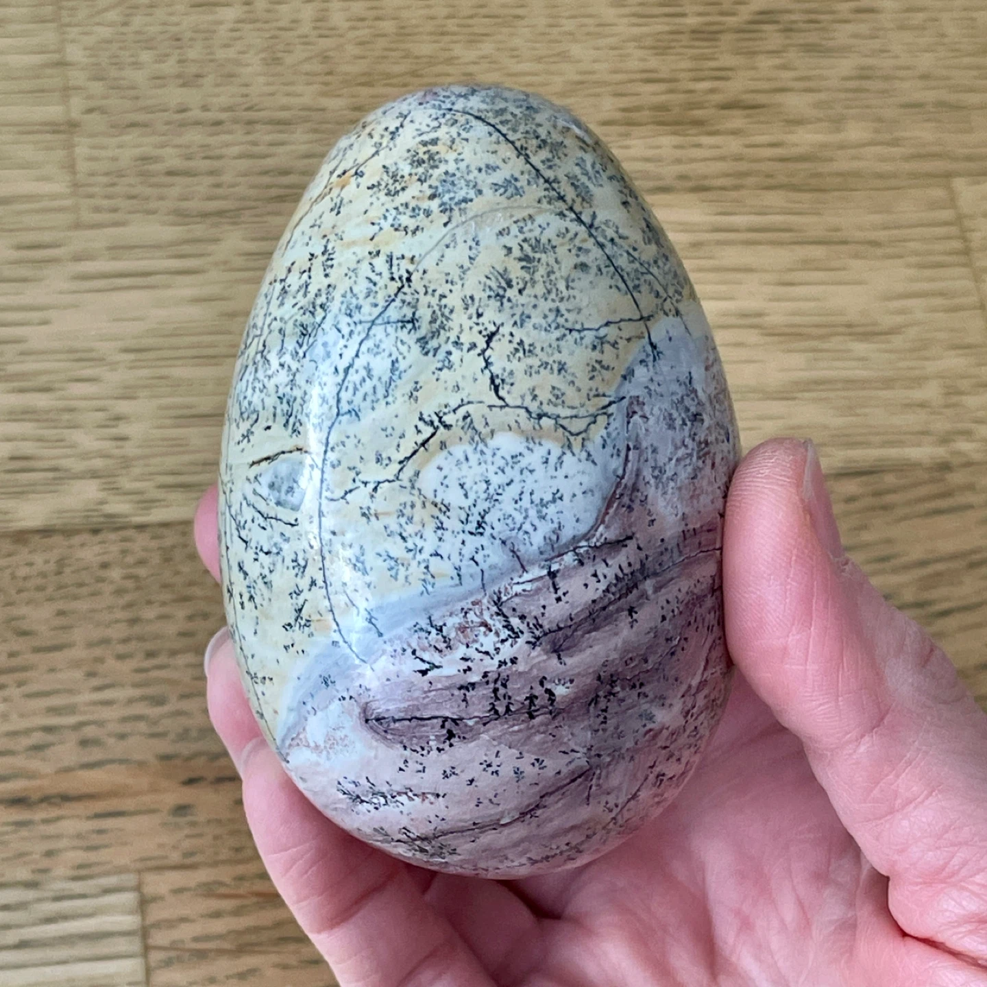Sandstone Dendrite Egg - Painting by nature
