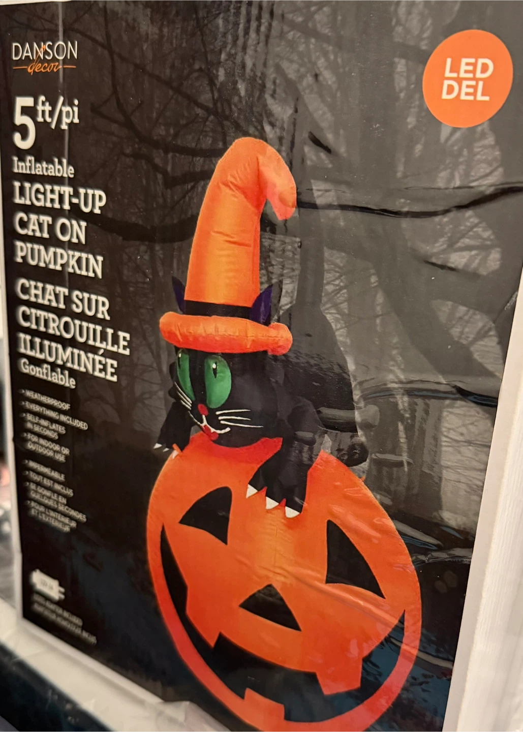 Danson Decor 5ft Inflatable Light-Up Cat on Pumpkin