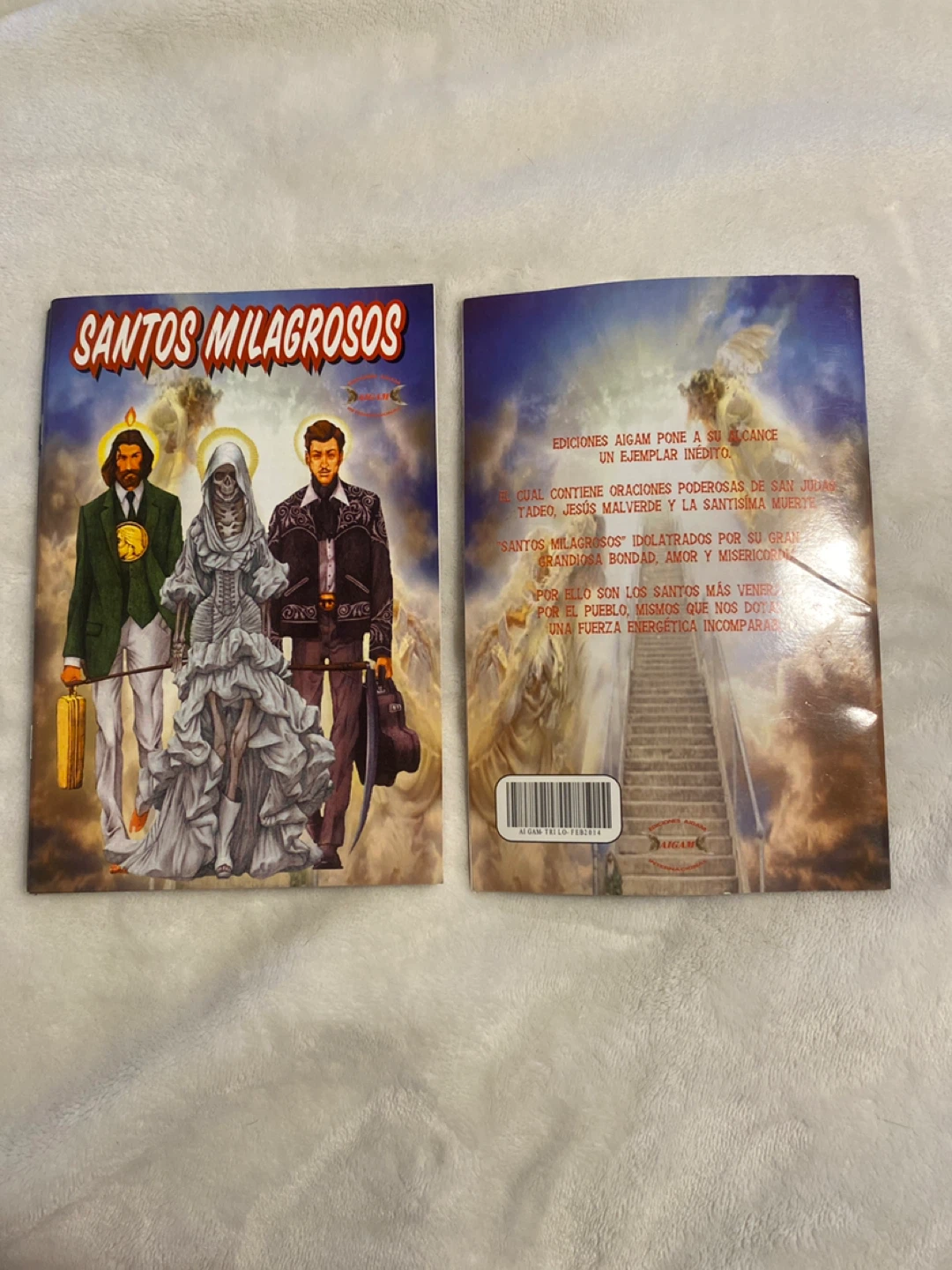 Santos Milagrosos Book
