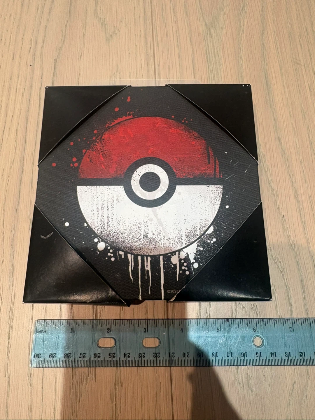 Pokémon Canvas Wall Art - New in Box!