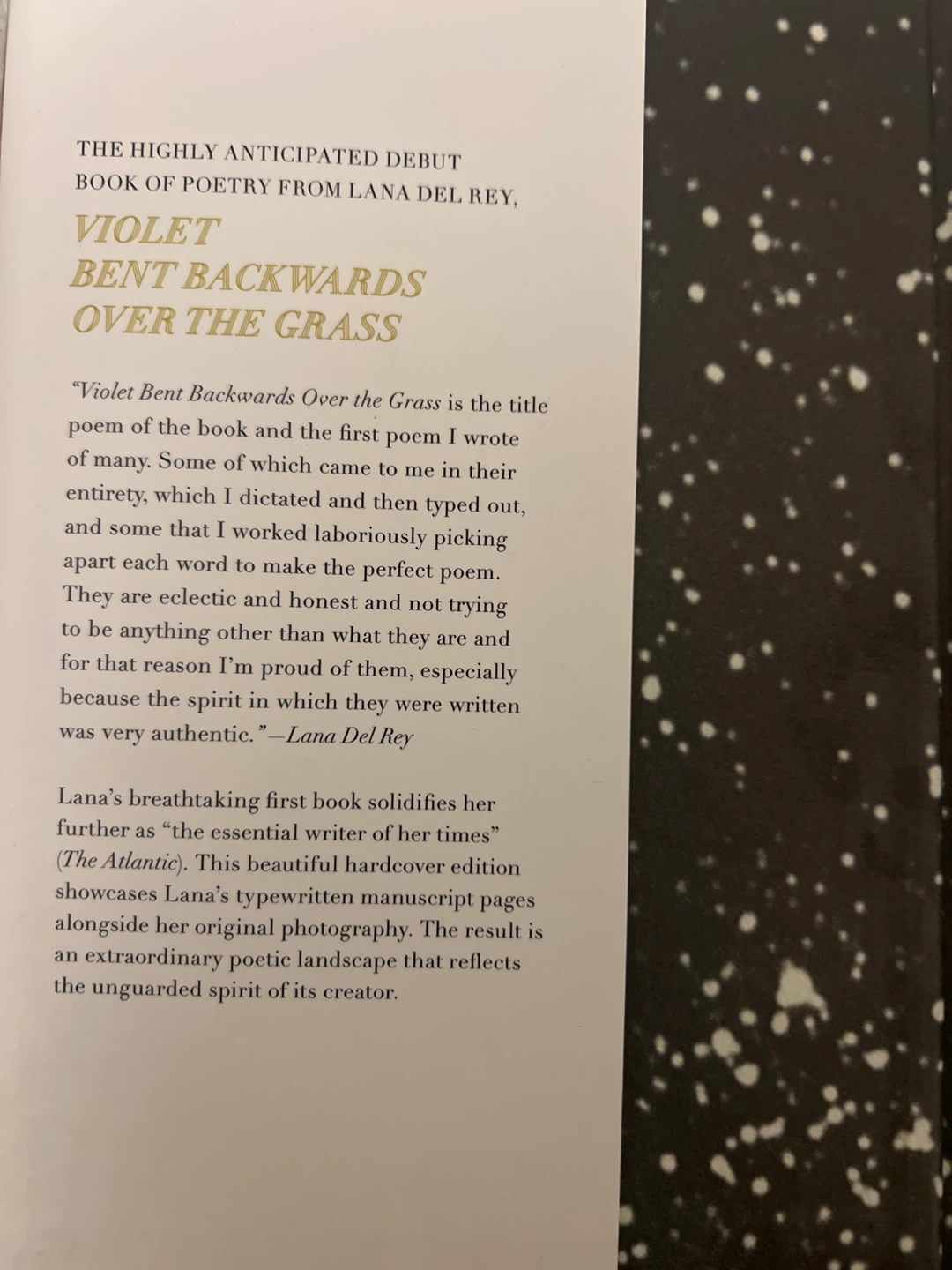 Violet Bent Backwards Over the Grass - Lana Del Rey Poetry Book - photo 2