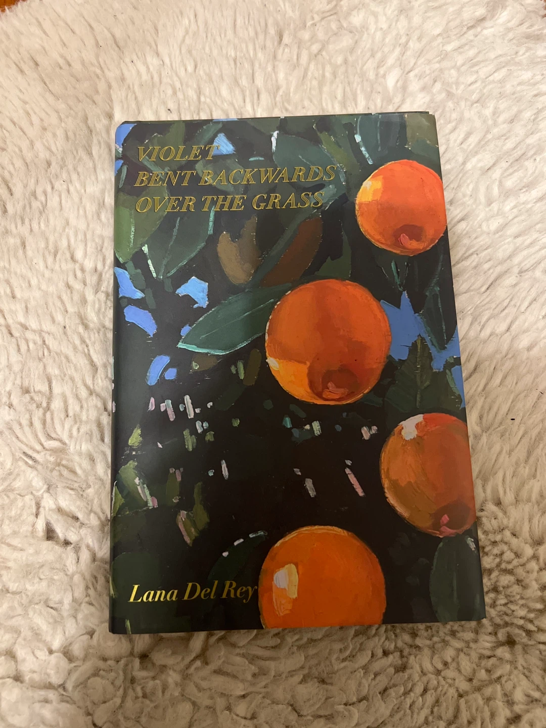 Violet Bent Backwards Over the Grass - Lana Del Rey Poetry Book