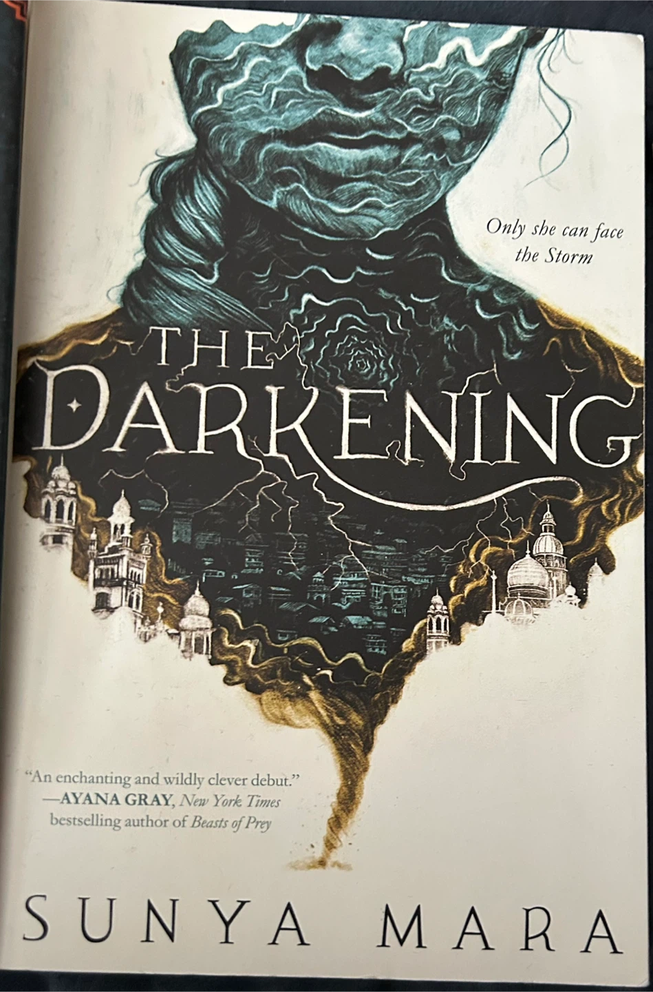 The Darkening by Sunya Mara