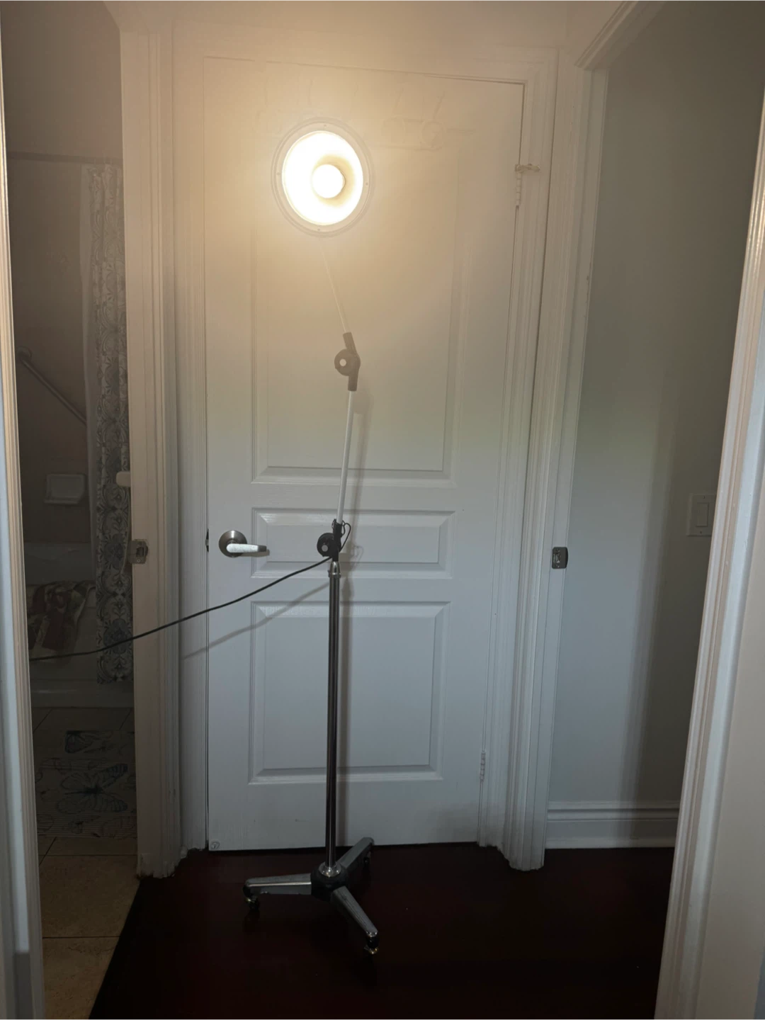 Movable,  Adjustable Floor Lamp - photo 4