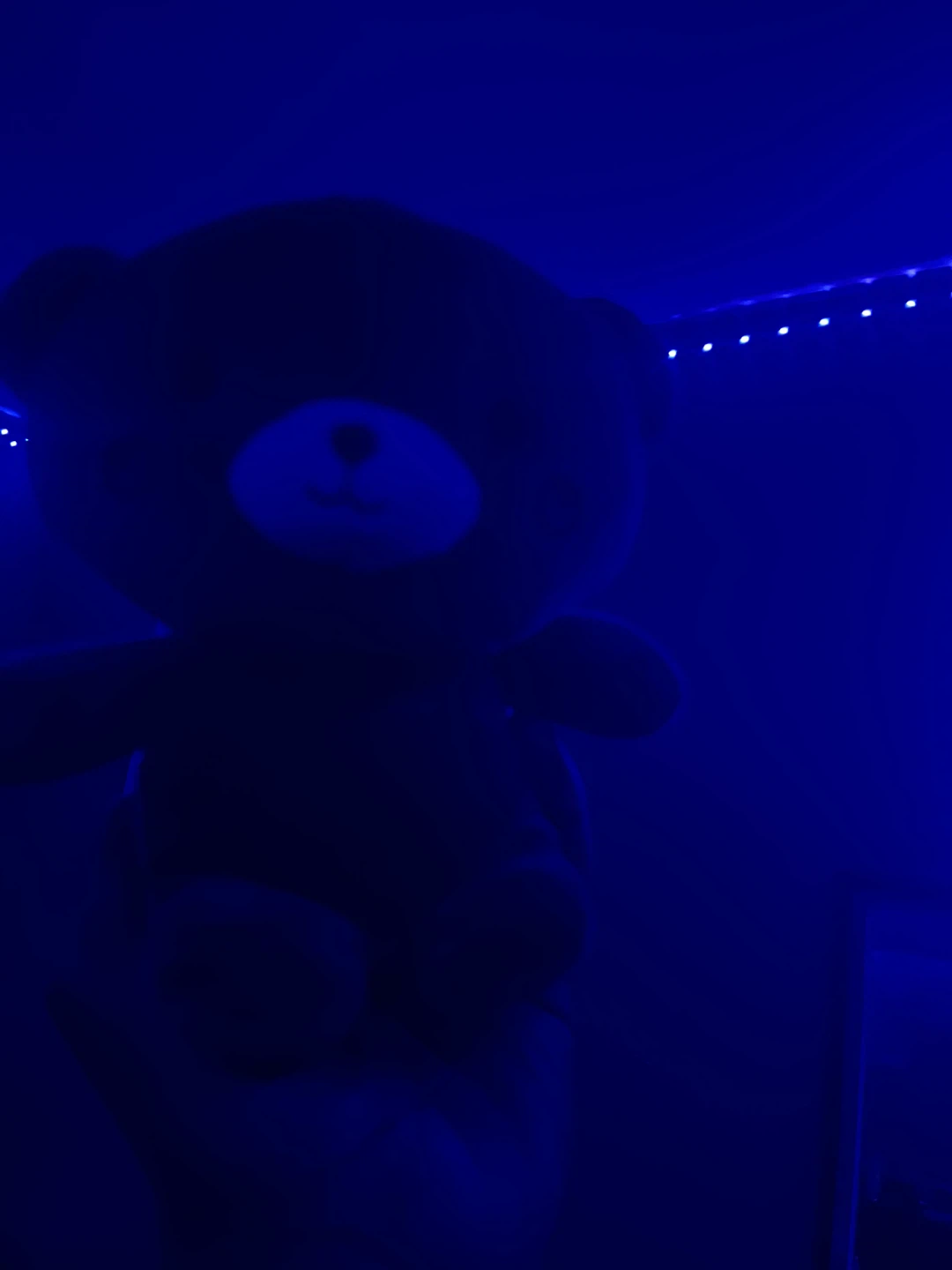 Plush Bear Toy