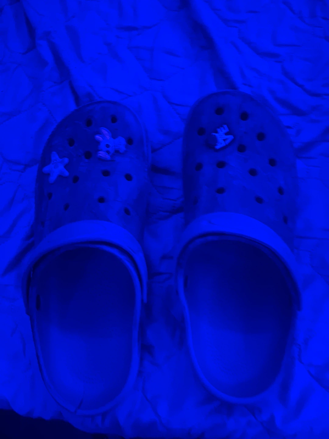 Crocs Clogs with Charms