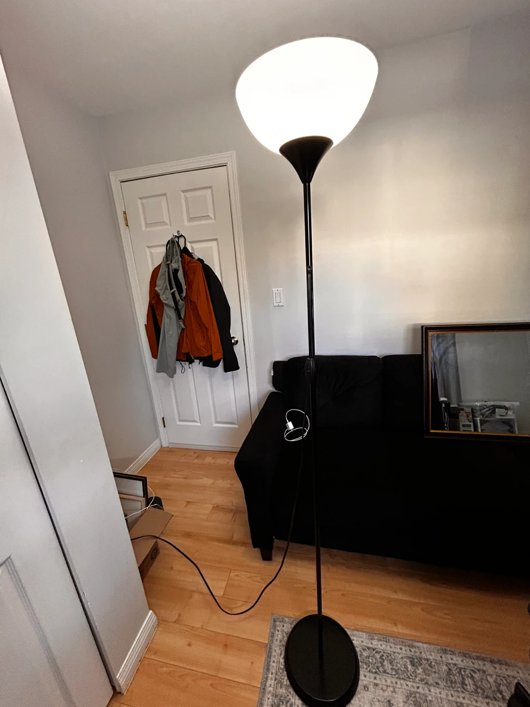 Black Floor Lamp