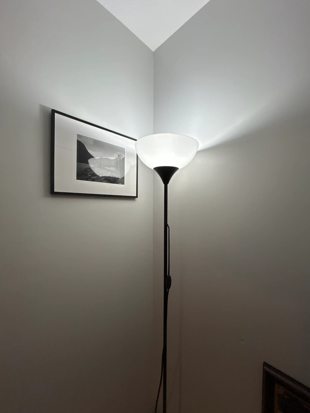 Black Floor Lamp - photo 4