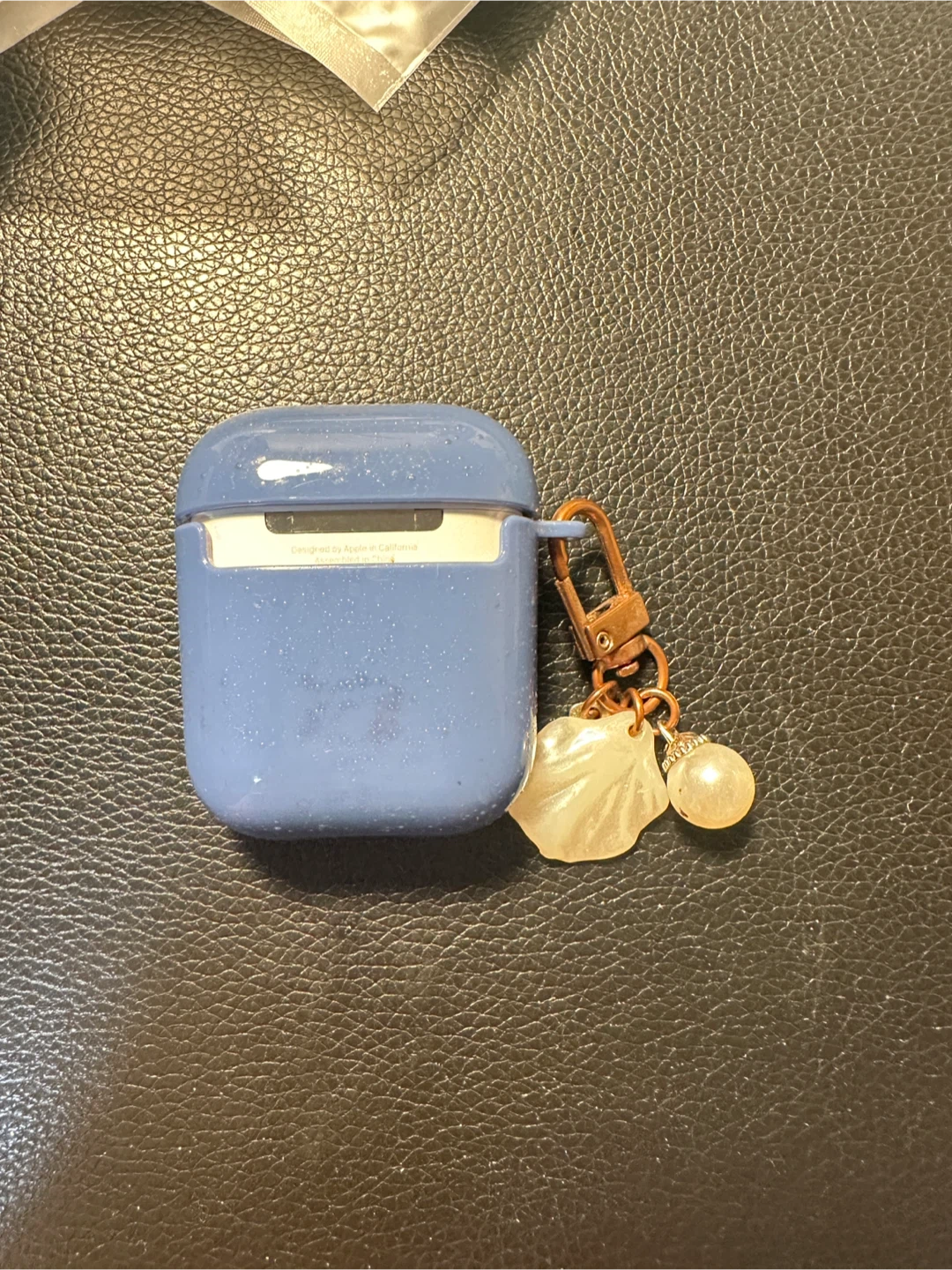 Apple AirPods Case
