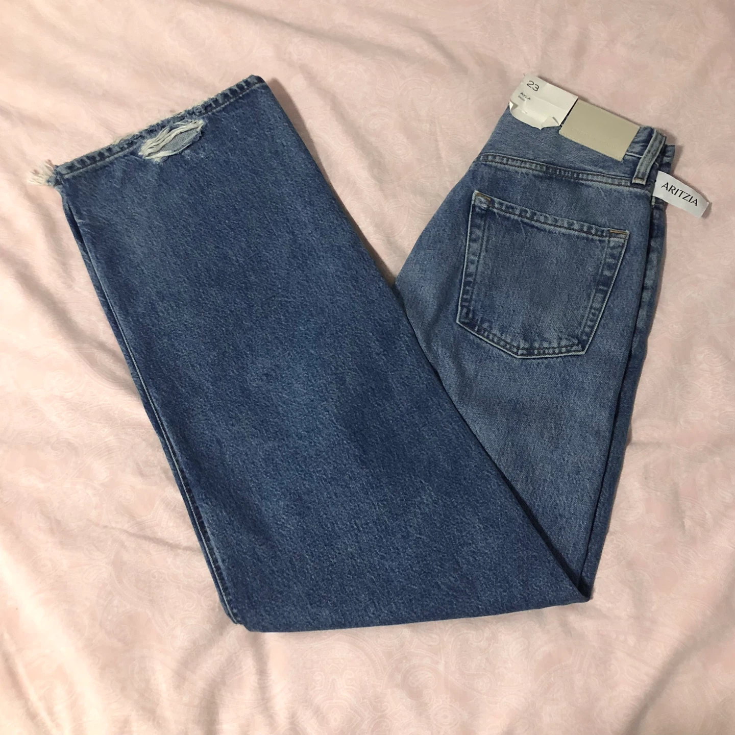 Aritzia Citizens of Humanity Ayla Baggy Jean