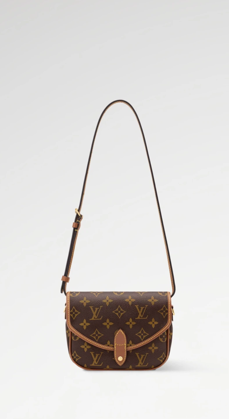 Louis Vuitton Brown Monogram Marais Bag - photo 4
