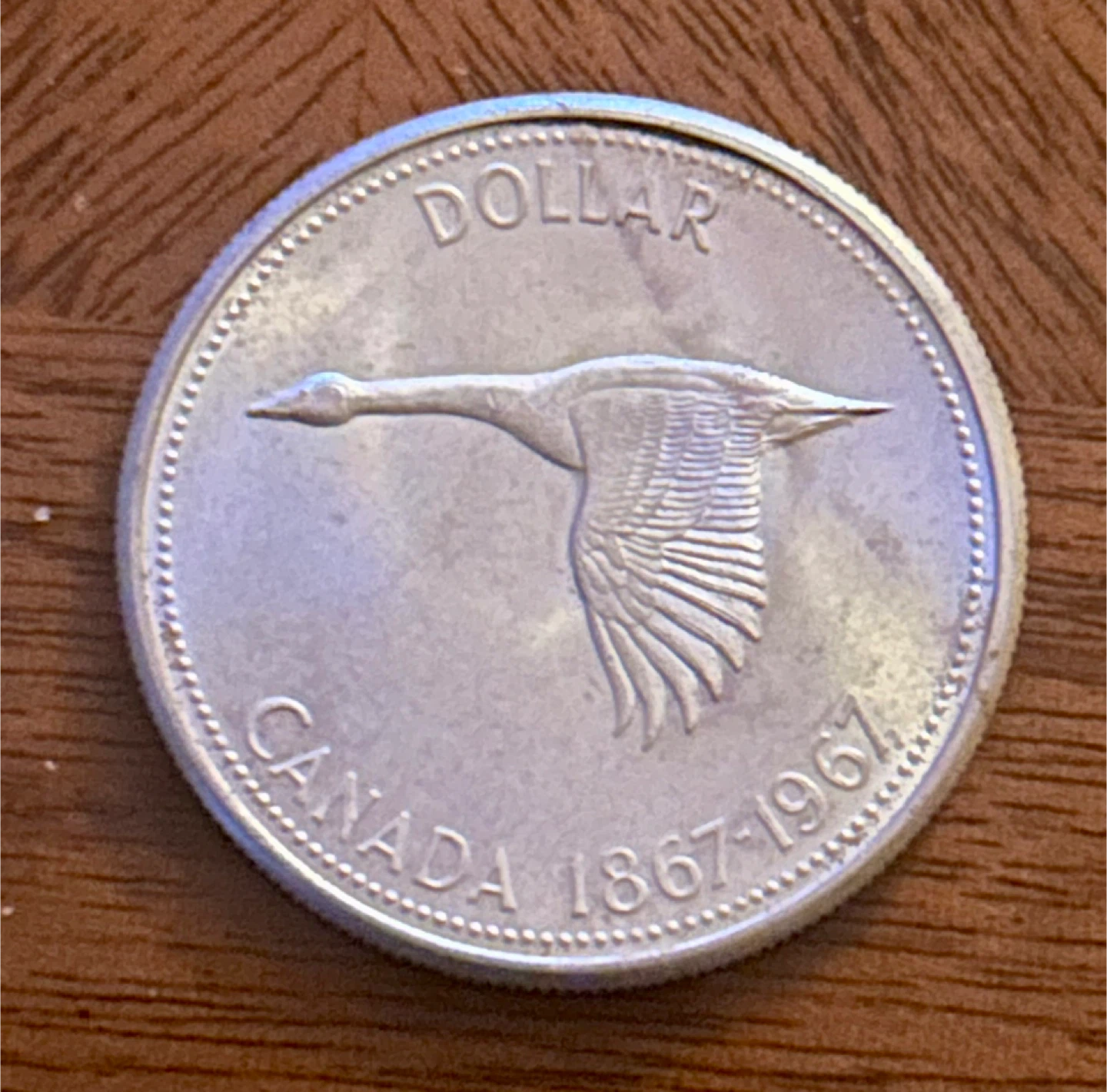 1867-1967 Loon silver dollar