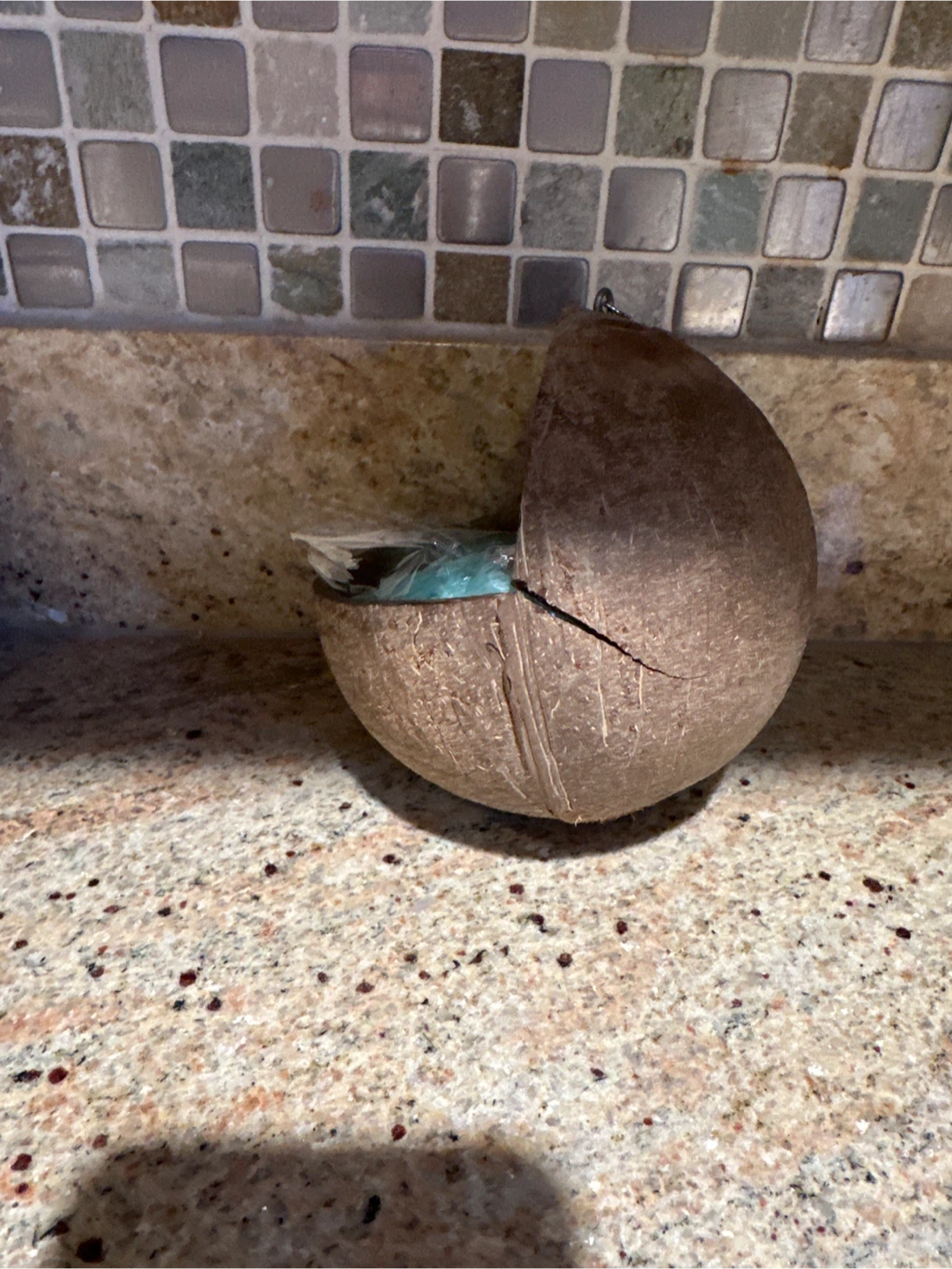 Coconut Bird House with Bell - photo 2