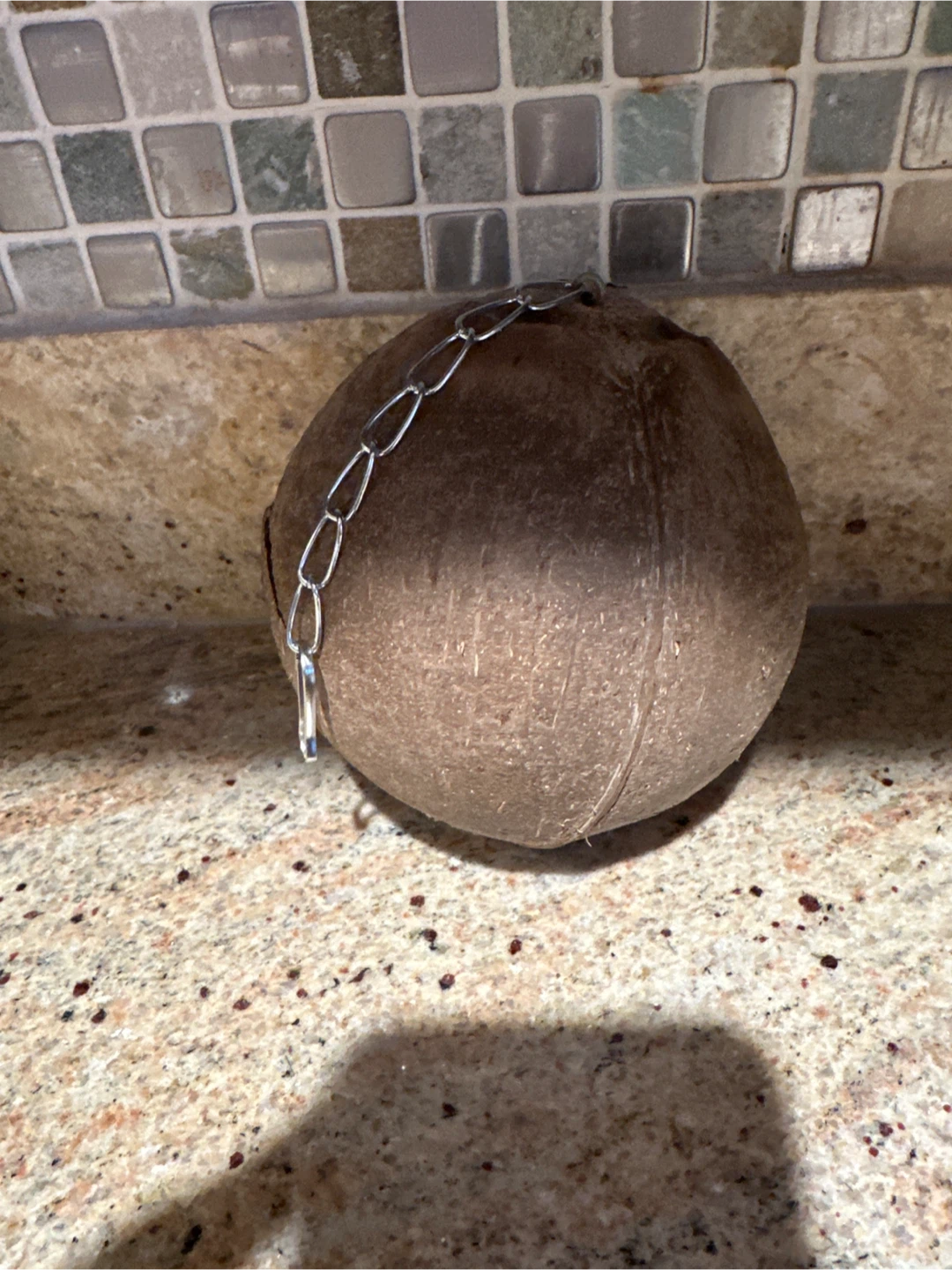 Coconut Bird House with Bell - photo 3