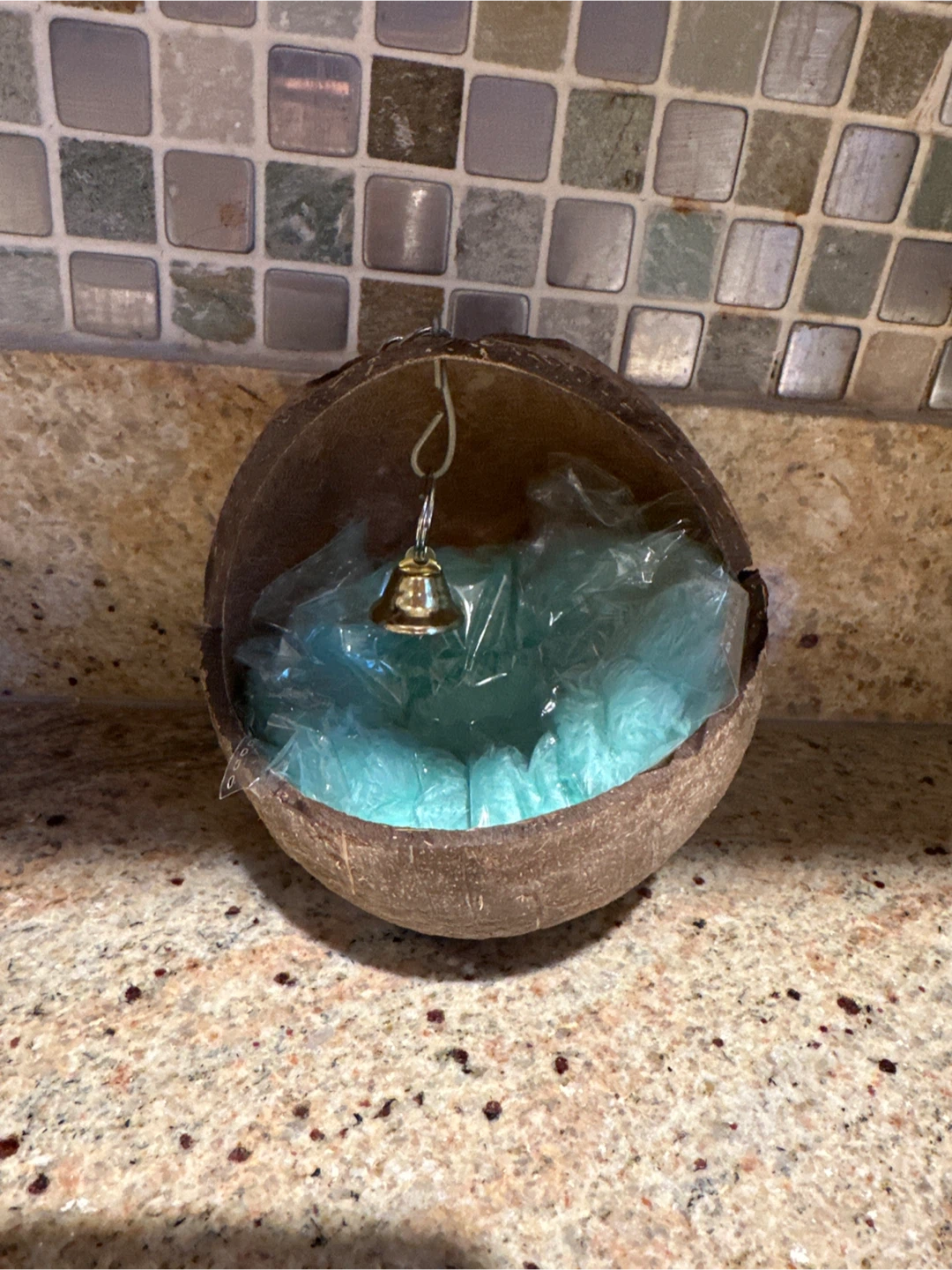 Coconut Bird House with Bell