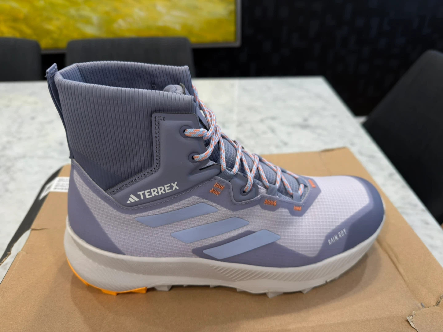 Adidas Terrex Women's Hiker R.RDY Hiking Boots - Size 8.5