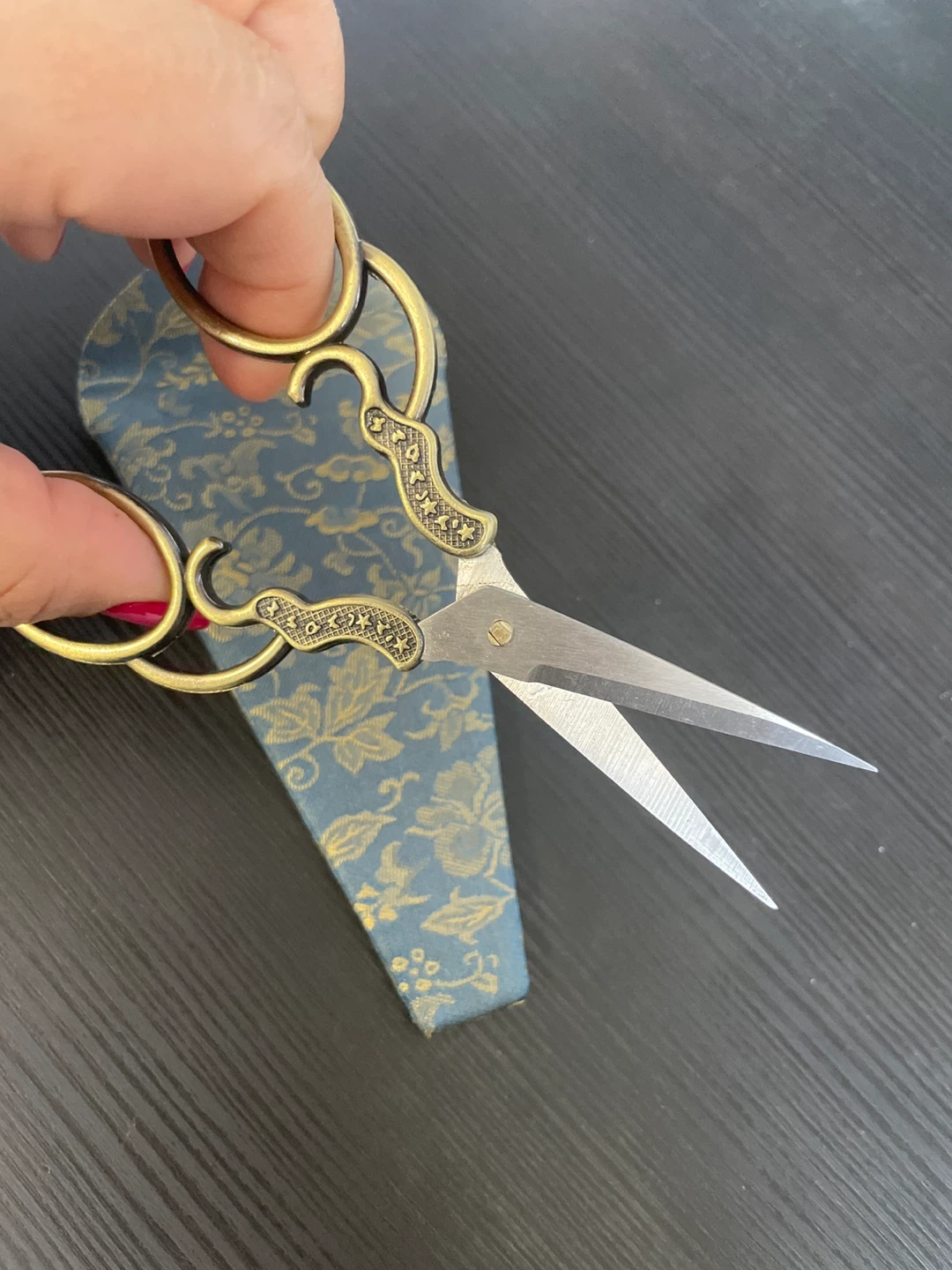 Vintage Style Embroidery Scissors with Case - photo 3