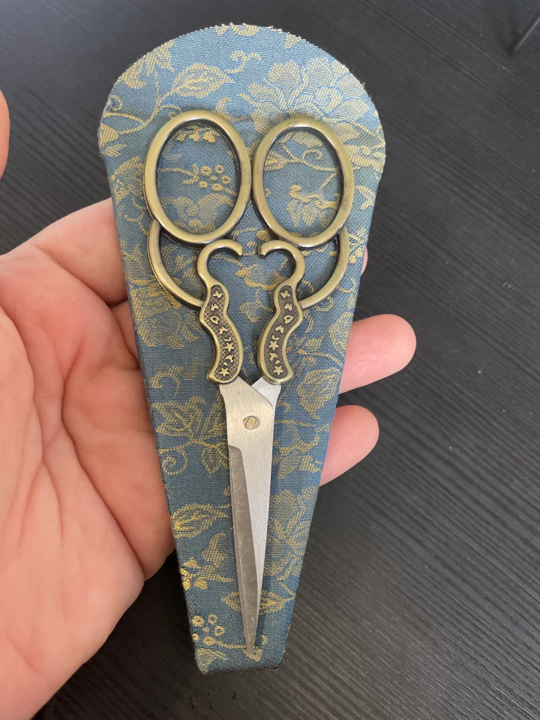 Vintage Style Embroidery Scissors with Case