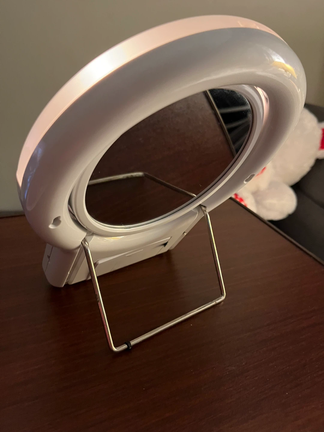 Salton Lighted Makeup Mirror