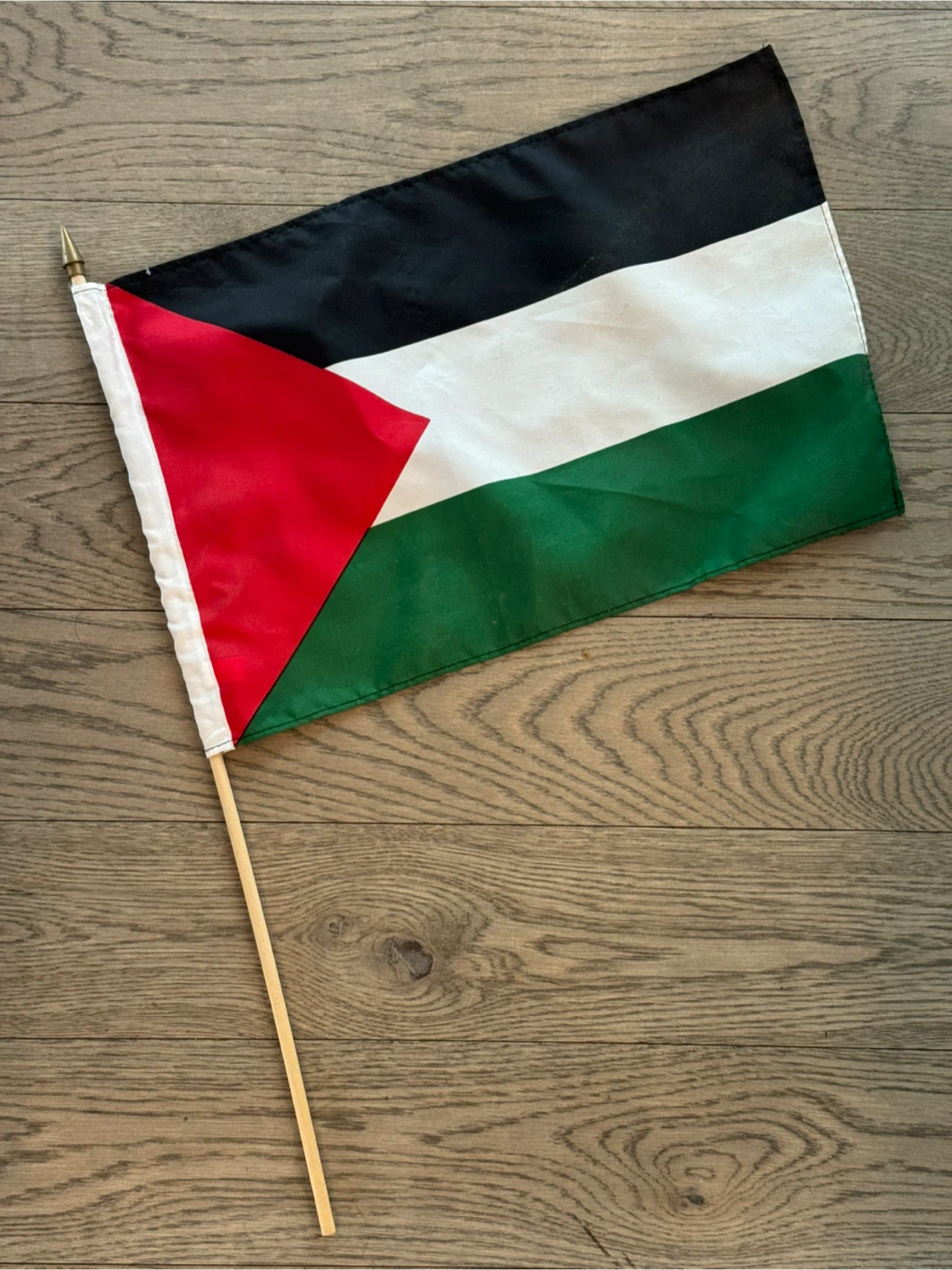 Handheld Palestine Flag on a stick