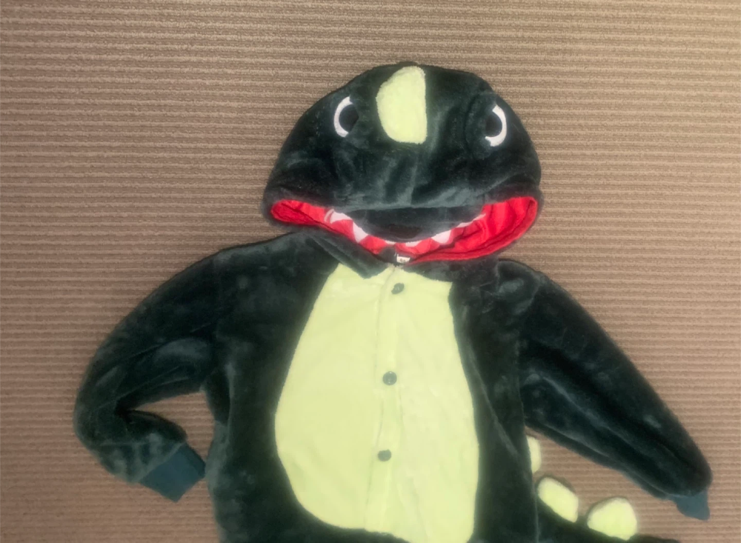 Dinosaur Onesie - Kids Size - photo 3
