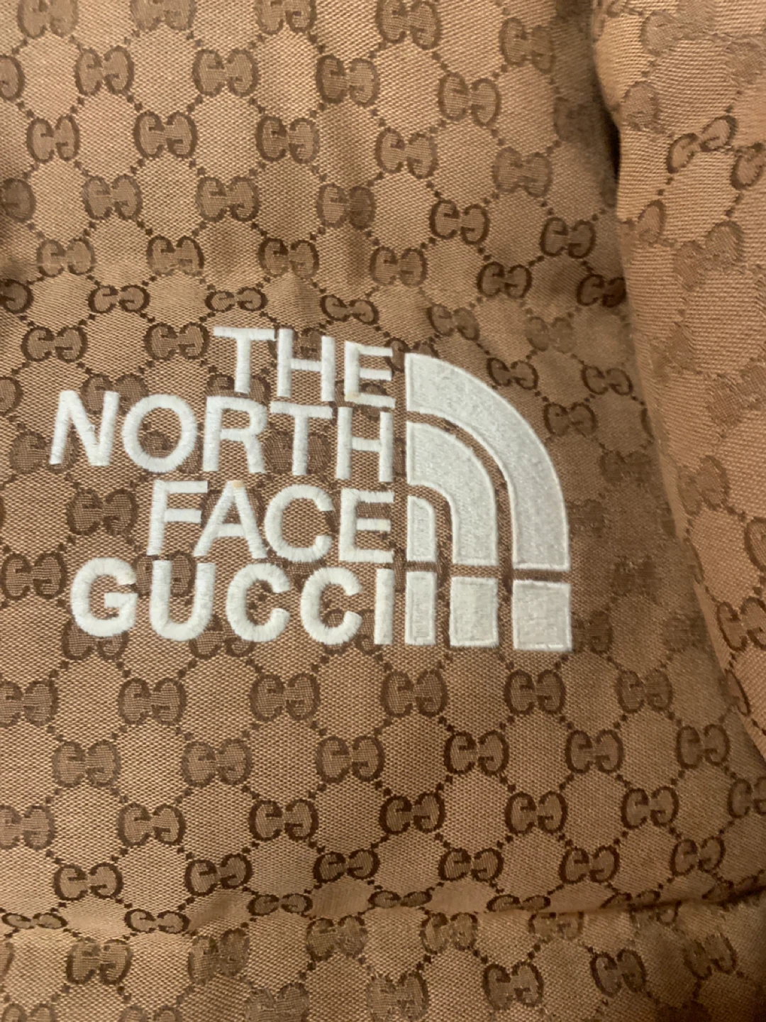 The North Face x Gucci Padded Jacket - photo 2