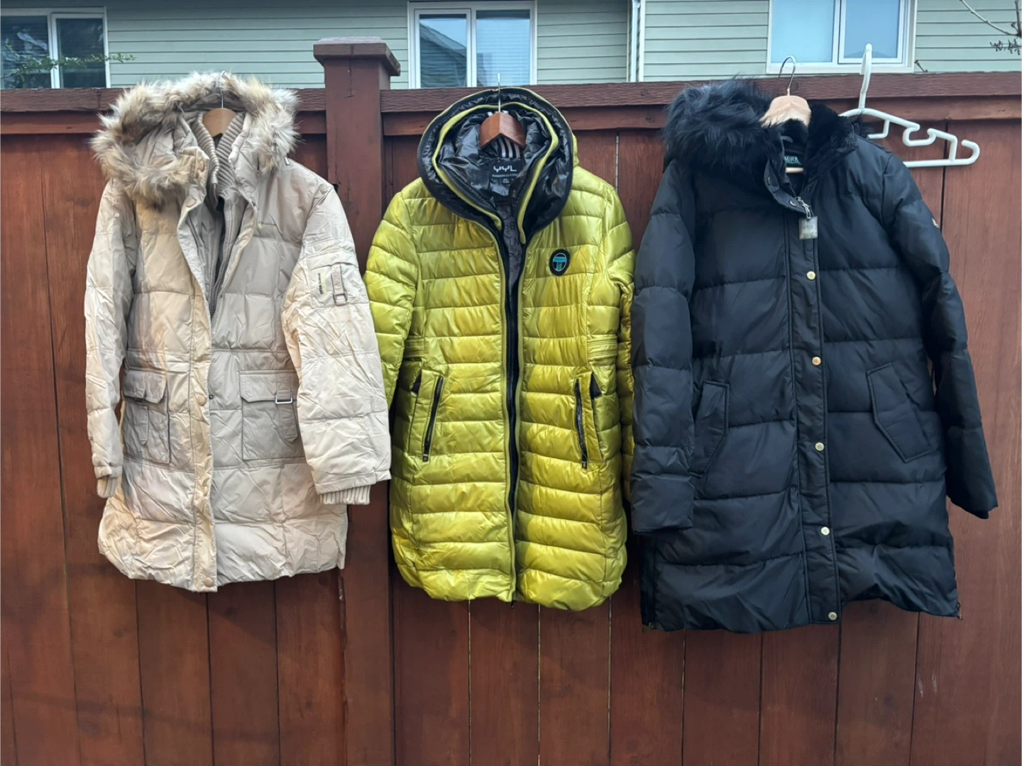 Jacket for women’s 30 dollars each