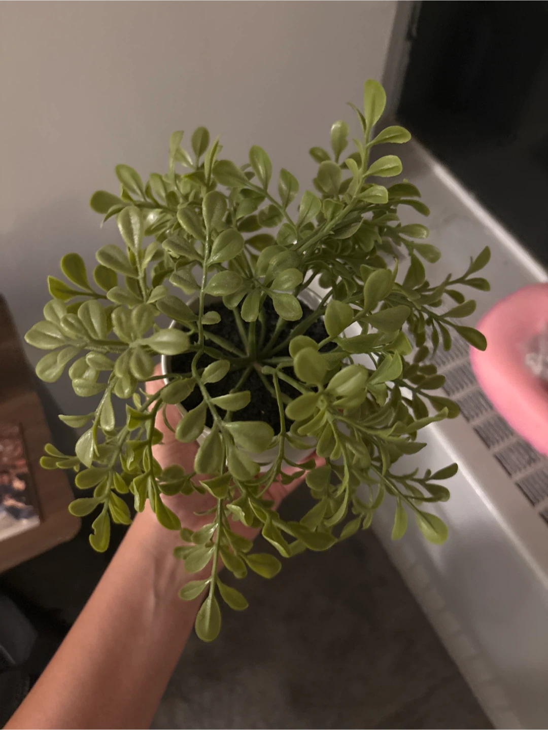 Artificial Plant in Pot - photo 2