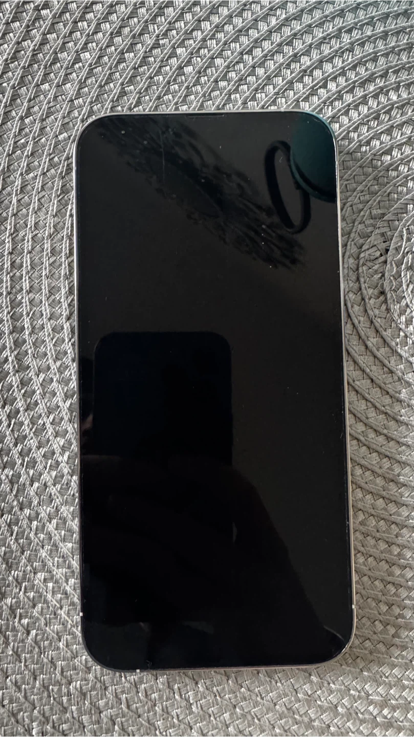 iPhone 13 Pro Max - 256 GB - Perfect condition