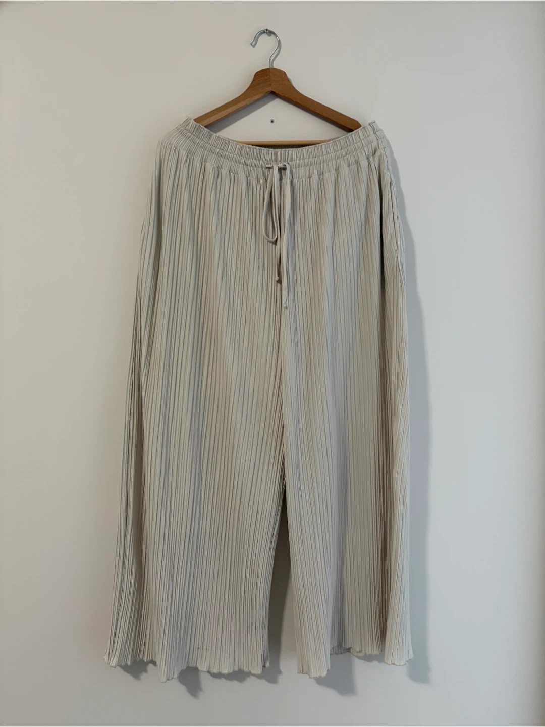 Pleated Wide Leg Pants