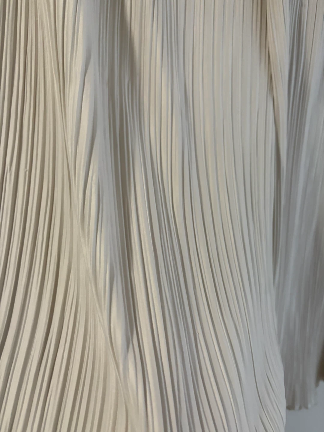 Pleated Wide Leg Pants - photo 3