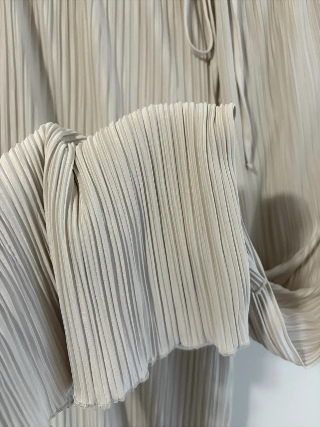 Pleated Wide Leg Pants - photo 4