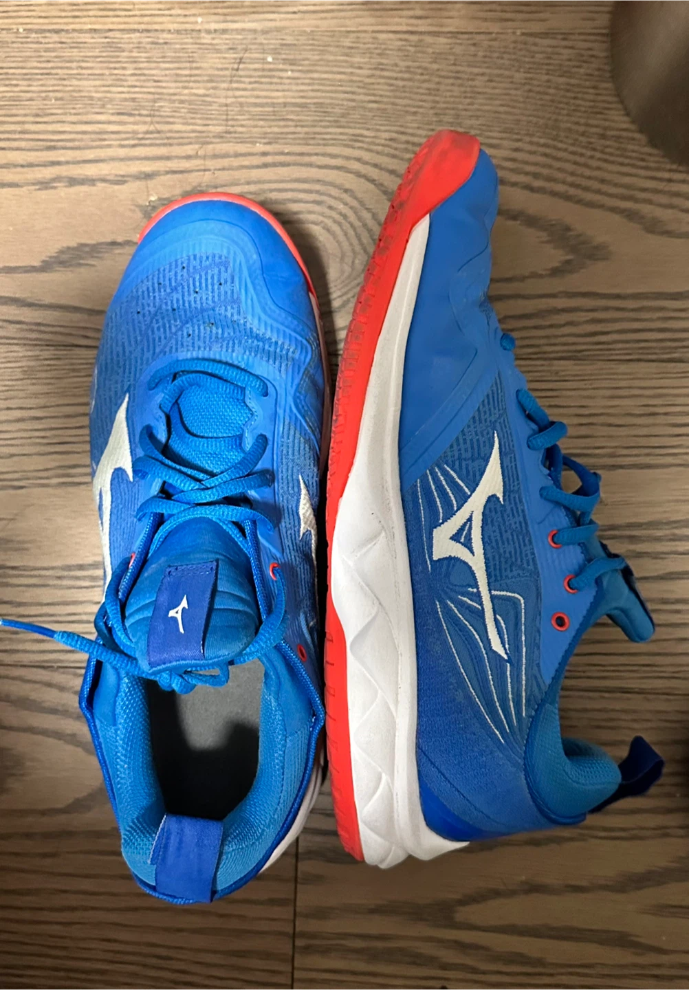 Mizuno Blue Volleyball Shoes
