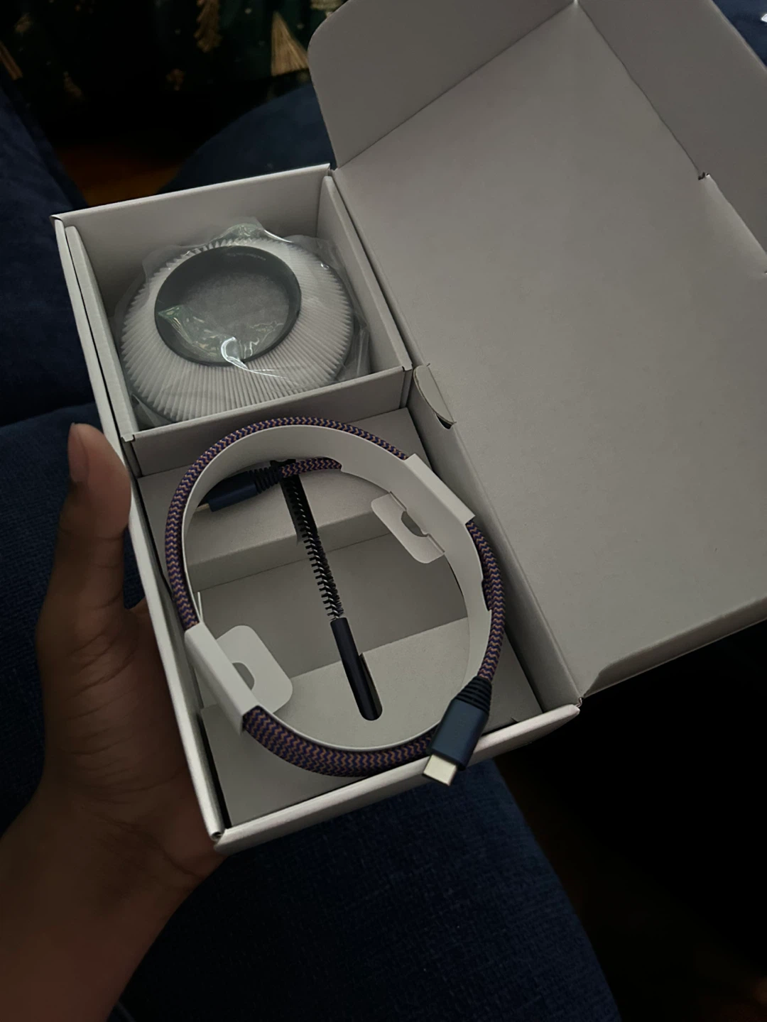 Dyson zone - photo 4