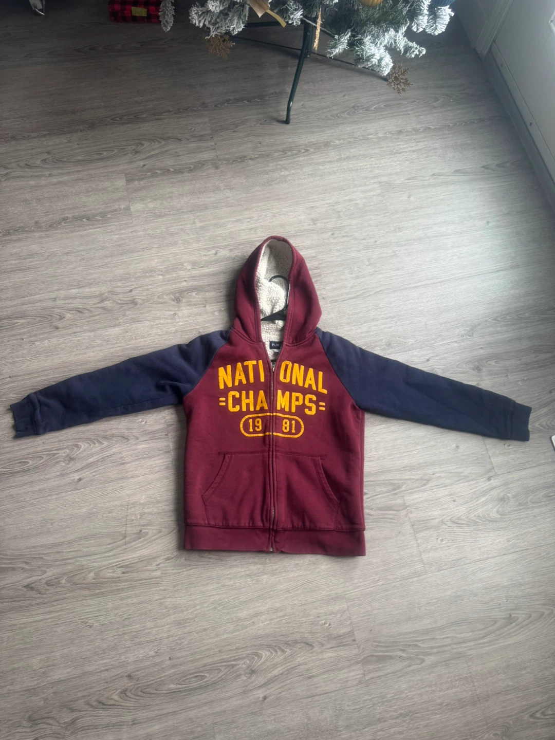 The Children's Place Hoodie - Size L (10-12)