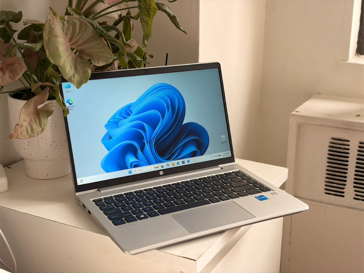 Laptop HP ProBook 440 G8 | i5-11 Gen | 8GB RAM | 500GB SSD