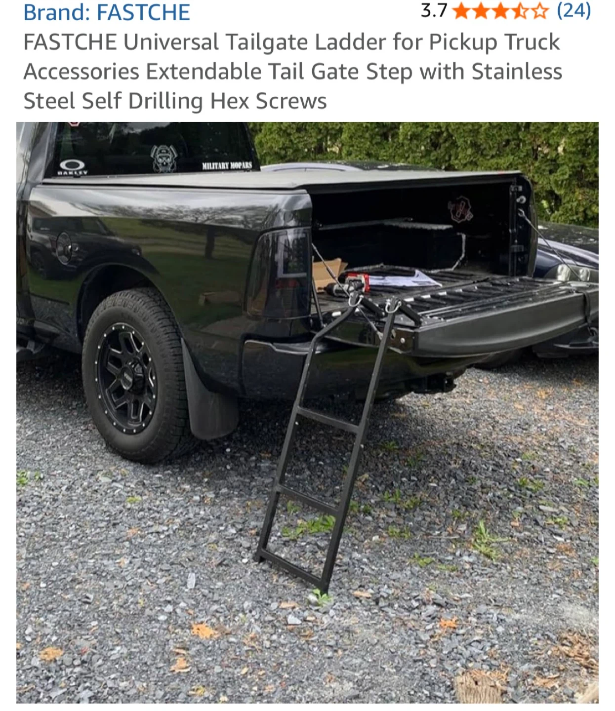 FASTCHE Universal Tailgate Ladder for Pickup Truck
